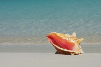 Bahamas Yacht Charter and Boat rental