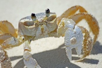 Bahamas Yacht Charter and Boat rental