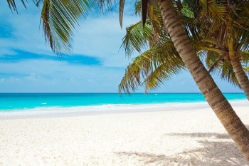 Caribbean Yacht Charter and Boat rental