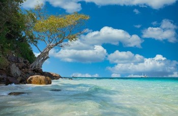Thailand Yacht Charter and Boat rental